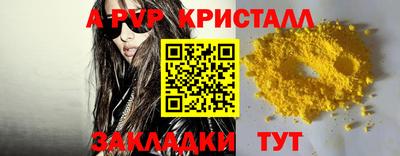 прущие крисы Донской