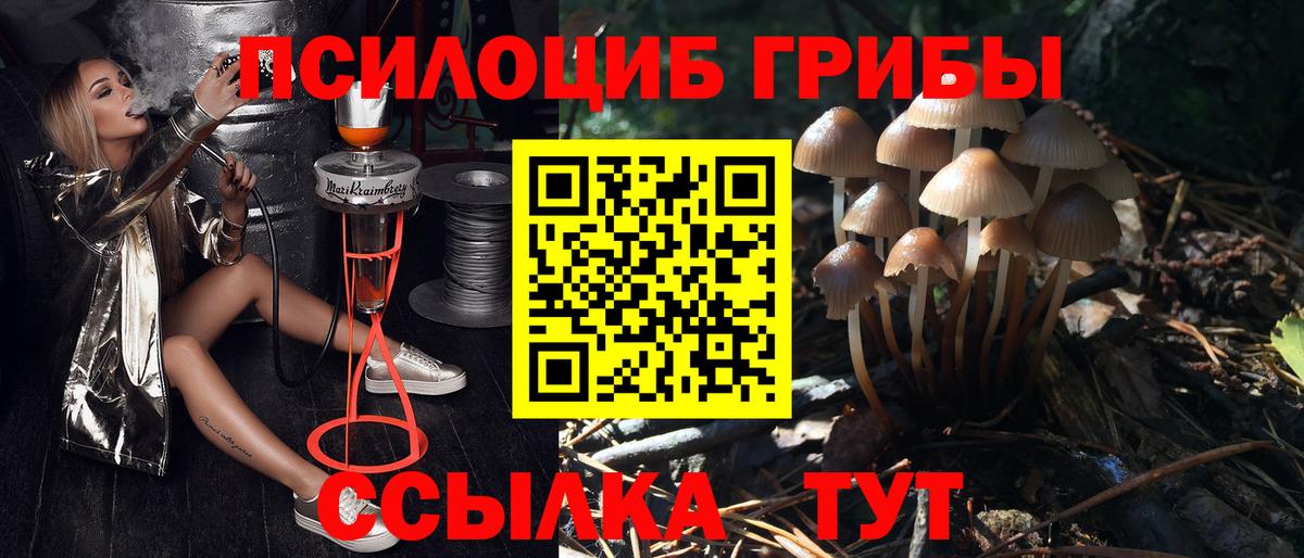 Кумертау  Псилоцибиновые грибы Psilocybine cubensis  Вход с VPN  Галлюциногенные грибы мухоморы 