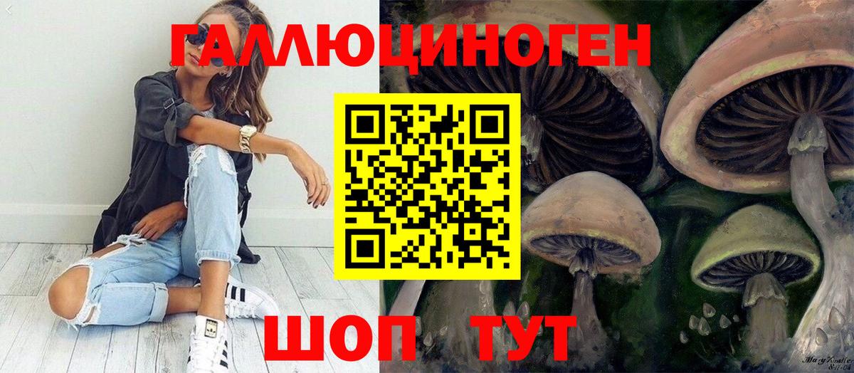 Галлюциногенные грибы Cubensis Кумертау